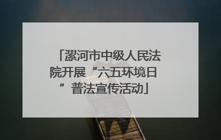 漯河市中级人民法院开展“六五环境日”普法宣传活动