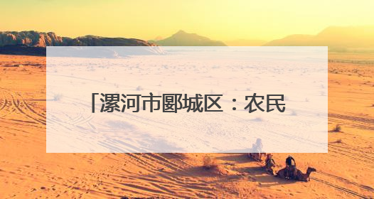 漯河市郾城区：农民抢天时 小麦收割忙