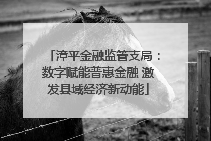 漳平金融监管支局：数字赋能普惠金融 激发县域经济新动能