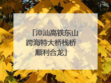 漳汕高铁东山跨海特大桥栈桥顺利合龙