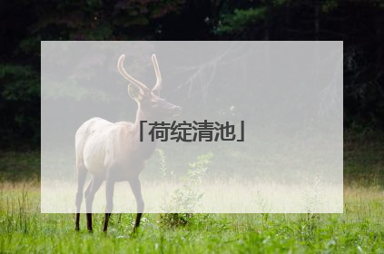 荷绽清池