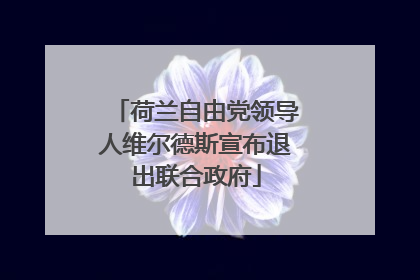 荷兰自由党领导人维尔德斯宣布退出联合政府