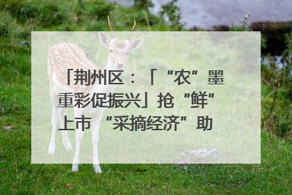荆州区：「“农”墨重彩促振兴」抢“鲜”上市 “采摘经济”助农“甜蜜增收”