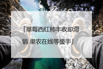 草莓西红柿丰收却滞销 果农在线等援手