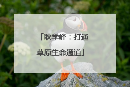 耿学峰：打通草原生命通道
