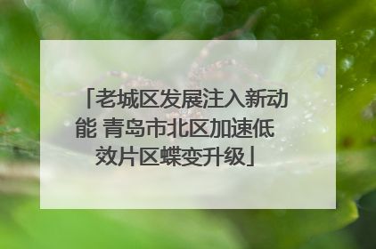 老城区发展注入新动能 青岛市北区加速低效片区蝶变升级