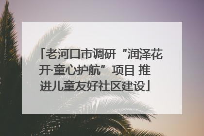 老河口市调研“润泽花开·童心护航”项目 推进儿童友好社区建设