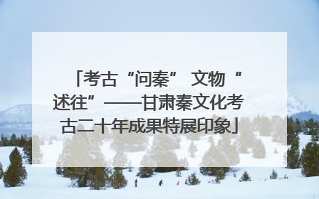 考古“问秦” 文物“述往”——甘肃秦文化考古二十年成果特展印象