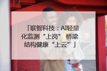 联智科技：AI轻量化监测“上岗” 桥梁结构健康“上云”