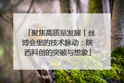 聚焦高质量发展丨丝博会里的技术脉动：陕西科创的突破与想象