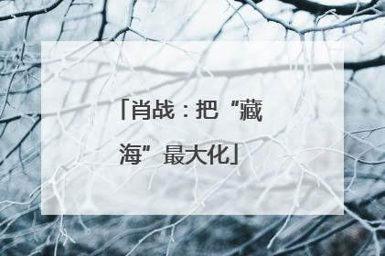 肖战：把“藏海”最大化