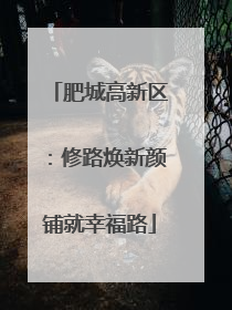 肥城高新区：修路焕新颜铺就幸福路