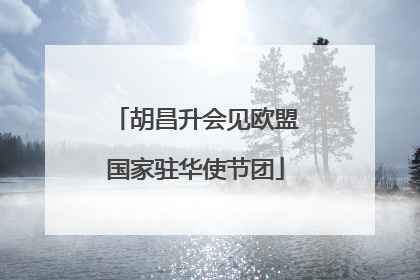 胡昌升会见欧盟国家驻华使节团