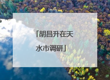 胡昌升在天水市调研