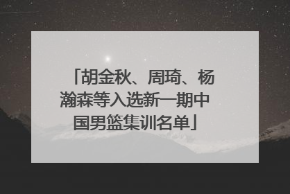 胡金秋、周琦、杨瀚森等入选新一期中国男篮集训名单