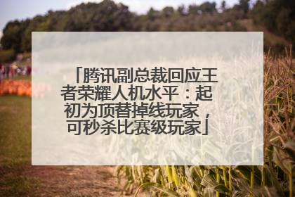 腾讯副总裁回应王者荣耀人机水平：起初为顶替掉线玩家，可秒杀比赛级玩家