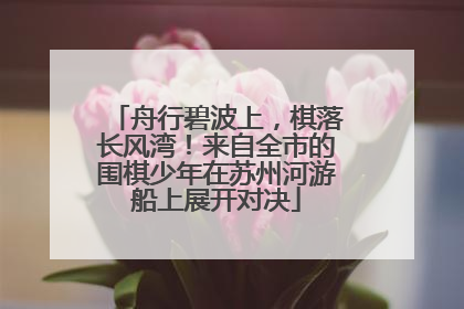 舟行碧波上，棋落长风湾！来自全市的围棋少年在苏州河游船上展开对决