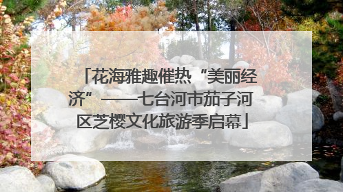 花海雅趣催热“美丽经济”——七台河市茄子河区芝樱文化旅游季启幕