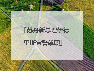 苏丹新总理伊德里斯宣誓就职