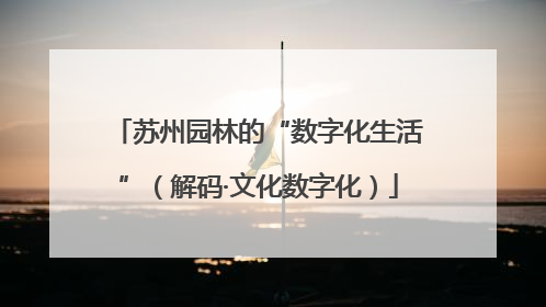 苏州园林的“数字化生活”（解码·文化数字化）