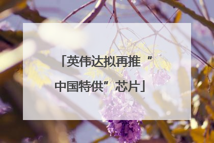 英伟达拟再推“中国特供”芯片