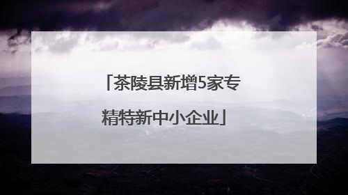 茶陵县新增5家专精特新中小企业