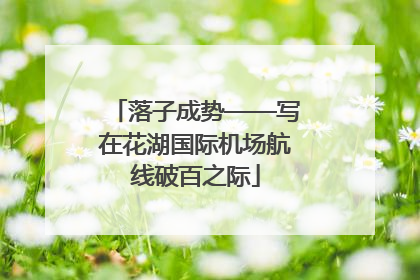 落子成势——写在花湖国际机场航线破百之际