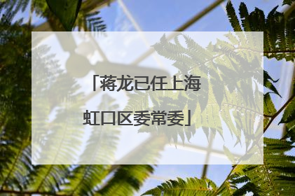 蒋龙已任上海虹口区委常委