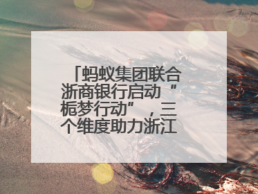 蚂蚁集团联合浙商银行启动“栀梦行动”，三个维度助力浙江下姜村建设共富示范区示范点