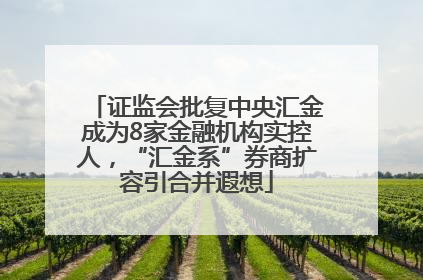 证监会批复中央汇金成为8家金融机构实控人，“汇金系”券商扩容引合并遐想