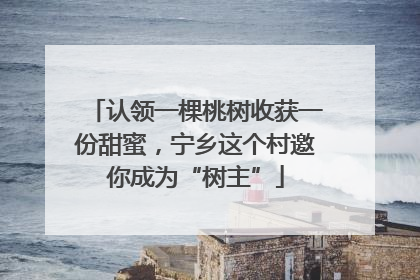 认领一棵桃树收获一份甜蜜，宁乡这个村邀你成为“树主”