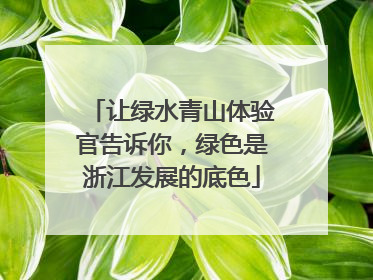 让绿水青山体验官告诉你，绿色是浙江发展的底色