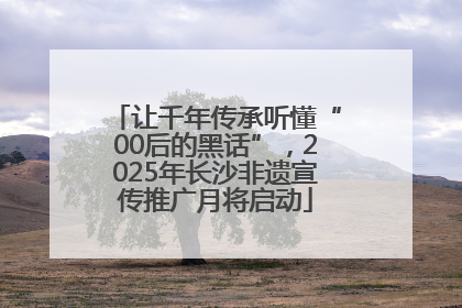 让千年传承听懂“00后的黑话”，2025年长沙非遗宣传推广月将启动