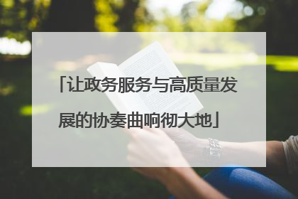 让政务服务与高质量发展的协奏曲响彻大地