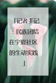 记者手记：民族团结在宁夏社区的生动实践