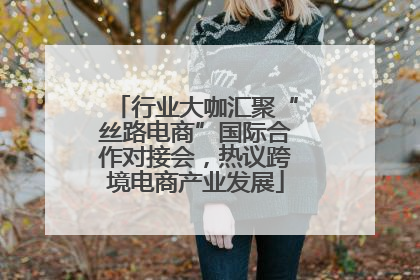 行业大咖汇聚“丝路电商”国际合作对接会，热议跨境电商产业发展