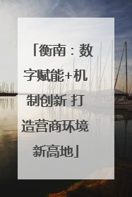 衡南：数字赋能+机制创新 打造营商环境新高地