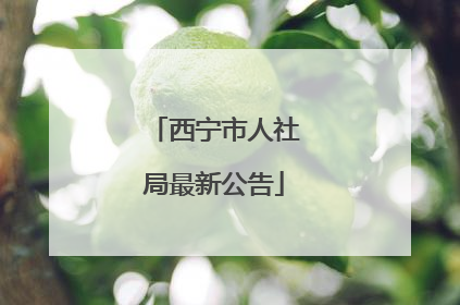 西宁市人社局最新公告