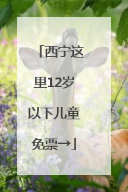 西宁这里12岁以下儿童免票→