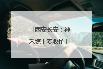 西安长安：神禾塬上麦收忙