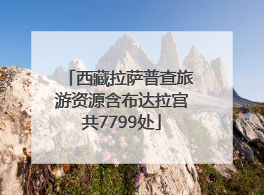 西藏拉萨普查旅游资源含布达拉宫共7799处