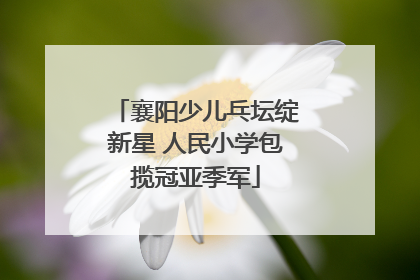 襄阳少儿乓坛绽新星 人民小学包揽冠亚季军