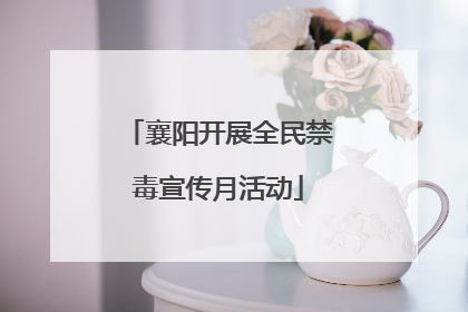 襄阳开展全民禁毒宣传月活动