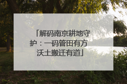 解码南京耕地守护：一码管田有方 沃土搬迁有道