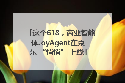这个618，商业智能体JoyAgent在京东 “悄悄” 上线