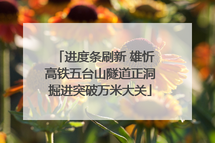 进度条刷新 雄忻高铁五台山隧道正洞掘进突破万米大关