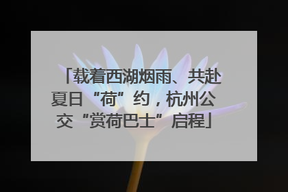 载着西湖烟雨、共赴夏日“荷”约，杭州公交“赏荷巴士”启程
