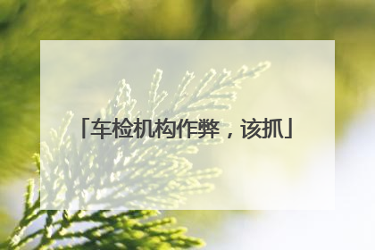 车检机构作弊，该抓