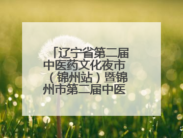 辽宁省第二届中医药文化夜市（锦州站）暨锦州市第二届中医康养夜市启幕