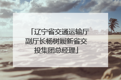 辽宁省交通运输厅副厅长杨树履新省交投集团总经理